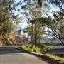 Winding Scenic Mountain Road - National Park