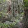 Moran Falls