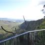O'Reillys Rainforest Retreat