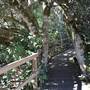 O'Reillys Rainforest Retreat