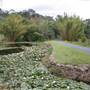 Coomera River (Upper)