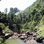 Purling Brook Falls - Springbrook National Park