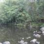Upper Maroochy River