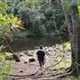 Upper Maroochy River