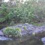 Wappa Falls