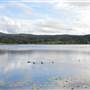 Wappa Dam