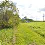 Maroochy River / Old Rail Bridge