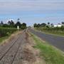 Roadside Cane Train Track