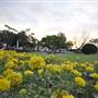 The Anglican Church of Australia - Parish of Bundaberg
