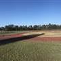 Major League Baseball Infields & Batting Cages