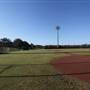 Major League Baseball Infields & Batting Cages