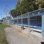 Surfers Paradise Baseball Club