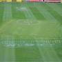 The Gabba