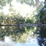 Whitsundays - Cedar Creek Falls