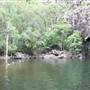 Whitsundays - Cedar Creek Falls