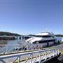 Shute Harbour