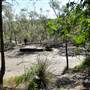 Mangroves meet Ocean - Tallebudgera Creek Conservation Park