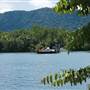 Daintree River