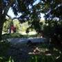 The Backlot, Bonogin - Overview