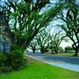 St David's Anglican Church