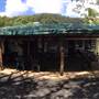 Crossroads Cafe - Daintree