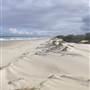 South Stradbroke Island - Beach (South of Surf Club)