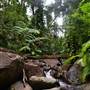 Tully Gorge National Park