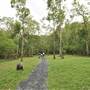 Murray Falls (Girramay National Park)
