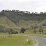 Lost World Valley - Kerry Road