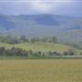 Country Valley Road