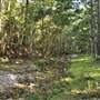 The Backlot, Bonogin - Overview