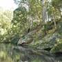 Venus Pools, Stream & Forest