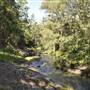Venus Pools, Stream & Forest