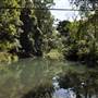 Venus Pools, Stream & Forest