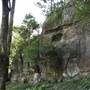 Natural Bridge - Springbrook National Park