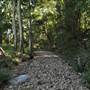 The Backlot, Bonogin - Dry River Bed