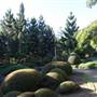 Nerima Gardens - Ipswich