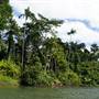 Mulgrave River (Cairns Region)