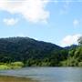 Mulgrave River (Cairns Region)