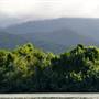 Mulgrave River (Cairns Region)