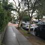 Oxford St, Bulimba