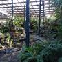 Queenspark Greenhouse