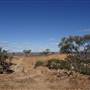 Longreach - Mount Slowcombe