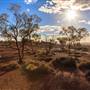Age Of Dinosaurs (Rangelands)