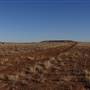 Winton - Kennedy Development Rd
