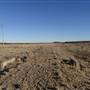 Winton - Kennedy Development Rd