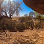 Rangelands Station