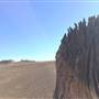 Lark Quarry Back Fence