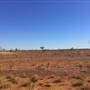 Winton-Jundah Road