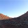 Lark Quarry Dinosaur Trackways